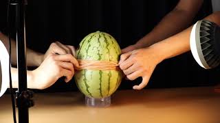 輪ゴムでスイカ爆発 / Rubber band watermelon challenge. chronos 1.4