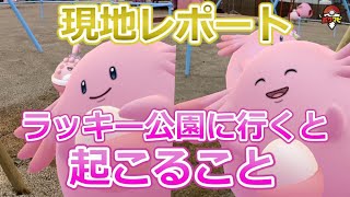 【現地レポート】ラッキー公園でポケモンGOをプレイすると起こること｜福島県以外のポケモンローカルActsなど