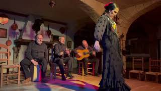 Flamenco Ronda