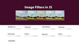 Image Filters in JS | JavaScript Tutorials | Web Development Tutorials