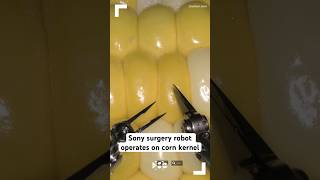 Sony surgery robot operates on corn kernel