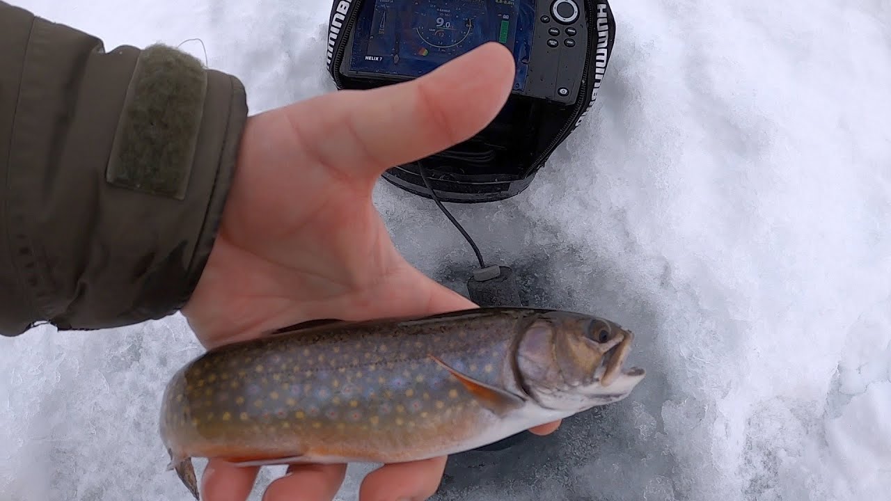 How To Catch Brook Trout In The Boundary Waters -- BWCAW Fishing # ...