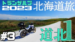 【トランザルプ】ここが晴れだと万事OK！最北端は絶景パラダイス！【北海道ツーリング】