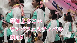 【Soka】Samba Festival【草加よさこいサンバフェスティバル1.OP】（2019.07.21）