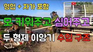 벼농사 3대 농기계 얀마 6조 이앙기 모내기철 두 형제는 자가 포함, 영업 수입은 얼마나 될까? 수입 구조 들여다보기 언제 끝나니ㅠ