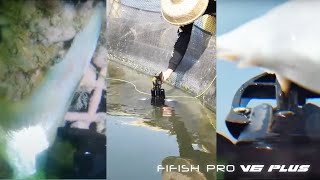 Every Fish Farm Needs A ROV | FIFISH PRO V6 PLUS