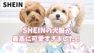 【SHEIN】激安なのに可愛い！SHEINの犬服を正直レビュー！失敗しないコツも紹介しています♪