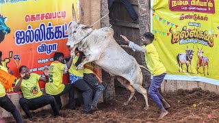 Kosavapatti Jallikattu 2025 Videos 02 | கொசவப்பட்டி ஜல்லிக்கட்டு 2025 Videos 02