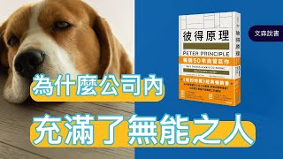 為什麼公司內這麼多無能的人？一語道出組織可悲真相｜《彼得原理》｜ 文森說書