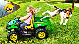 Best funny animals video 2022 | Funniest dog and cat videos | try not to laugh