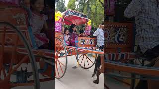 Horse Cart Riding in Bangalore | Dheera Dheera | KGF 2 Song #horseriding #horse #kgf