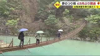 台風被害を乗り越え「夢のつり橋」が4カ月ぶりに開通　静岡・本川根町の寸又峡温泉