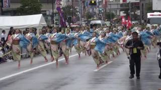 東京よさこい2016・前日祭 ～ 茜丸