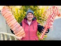 Grandma Interestingly Butchering Lamb & Cooks Meat Roll - Very Rare Recipe