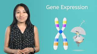 Gene Expression - Life Science for Kids!