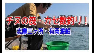 秋チヌ（黒鯛）筏・カセのかかり釣りを楽しむ！！（三重県志摩市磯部町三ヶ所的矢湾 / 有岡渡船）