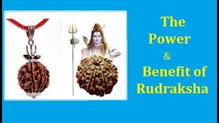 Rudraksha and Benefits in English {Real Facts On Rudraksha}