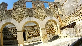 Biggest dovecote in the world by horseback