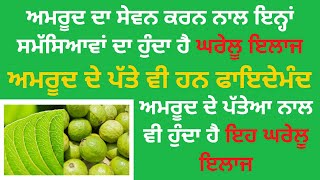 ਅਮਰੂਦ ਦੇ ਪੱਤੇ ਵੀ ਹਨ ਫਾਇਦੇਮੰਦ - benefits of Guava - Punjabi Sehat