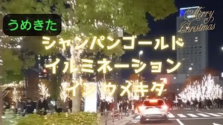 「グランフロント大阪」Champagne Gold Illumination in UMEKITA