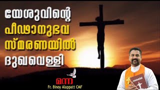 Manna891 | പീഡാനുഭവ സന്ദേശം | ദുഃഖവെള്ളി | Good Friday  | Fr Binoy Alappatt CMF |MANNA 2021 APRIL 02