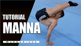 Tutorial Manna - WX