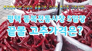 평택 통복전통시장 5일장 끝물고추가격은?