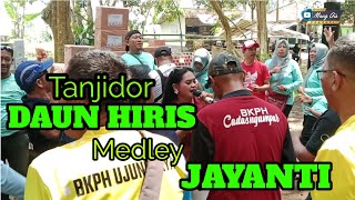 DAUN HIRIS - JAYANTI // TANJIDOR // Ai CUMI ft DESI // TEAM DOGDAG // PADAYUNGAN // KPH SUMEDANG