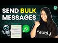 How to Send WhatsApp Messages in Bulk