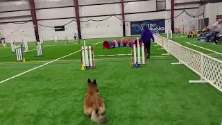 Helo CPE Agility Colors Level 1 (1/1)