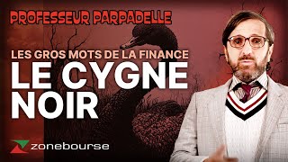 Les gros mots de la finance : « Le cygne noir »