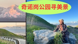 奇诺岗公园寻美景