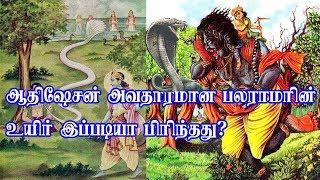 ஆதிஷேசன் அவதாரமான பலராமரின் மரணம் இப்படியா நடந்தது