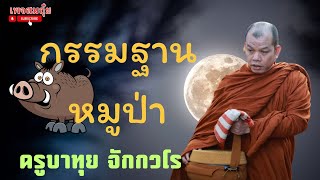 สนทนาธรรมกับครูบาทุย  ตี4 3/2/2568   #วัดป่าบ่อน้ำพระอินทร์ #อานาปานสติ