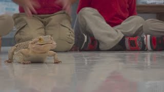 'Critter Room' introduces Texas students to exotic animals and teaches life lessons