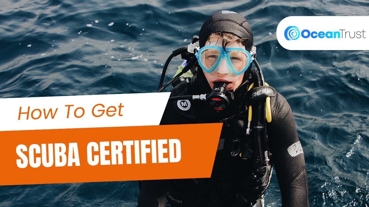 How Do You Get Scuba Certified Prices Included Ocean Trust рџ їрџњљрџђ