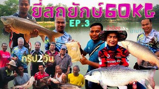 ยี่สกยักษ์ 60kg. บึงหนองมน กับน้าท็อปฟิชชิ่ง ep.3จัดเต็ม เหยื่อVSตระกร้อพันวัง