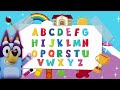 bluey abc toddler learning video bluey and bingo video