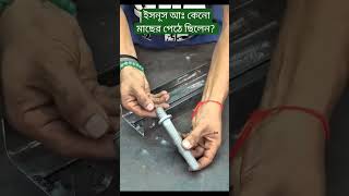 ইউনূস আঃ কেন মাছের পেটে ছিলেন অবিশ্বাস্য কাহিনি ও শিক্ষা