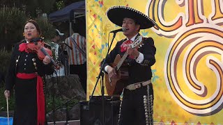 【シンコデマヨ ジャパン 2024】マリアッチの歌（Cancion del Mariachi） Mariachi La Fiesta/ 映画「デスペラード(Desperado)」　アントニオバンデラス