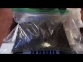 How to Germinate Palm Seeds Easily