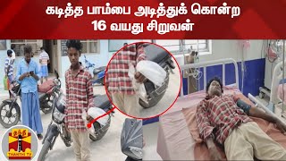 கடித்த பாம்பை அடித்துக் கொன்ற 16 வயது சிறுவன்