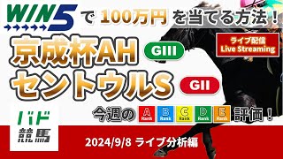 【WIN5で100万円：ライブ分析編】 2024年9月8日（日）京成杯AH・セントウルS【競馬】