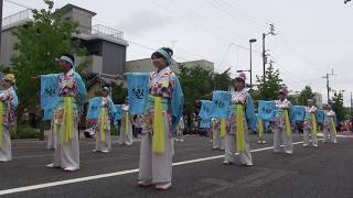 いよさこい華魅　かんおんじ銭形まつり2019　柳町会場