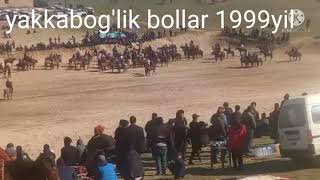 yakkabog'lik bollar 1999yil