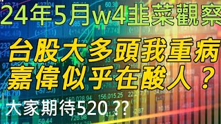 24年5月-第4週 |韭菜的股市觀察 #投資 #理財 #韭菜