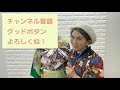 【解説動画】時短帯結び！羽の重なりが可愛い！！！【帯結び】