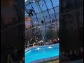 kork 5m 👌🤪🔥 splashdiving flip backflip