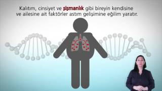 Astım nedir? Belirtileri, teşhisi ve tedavisi