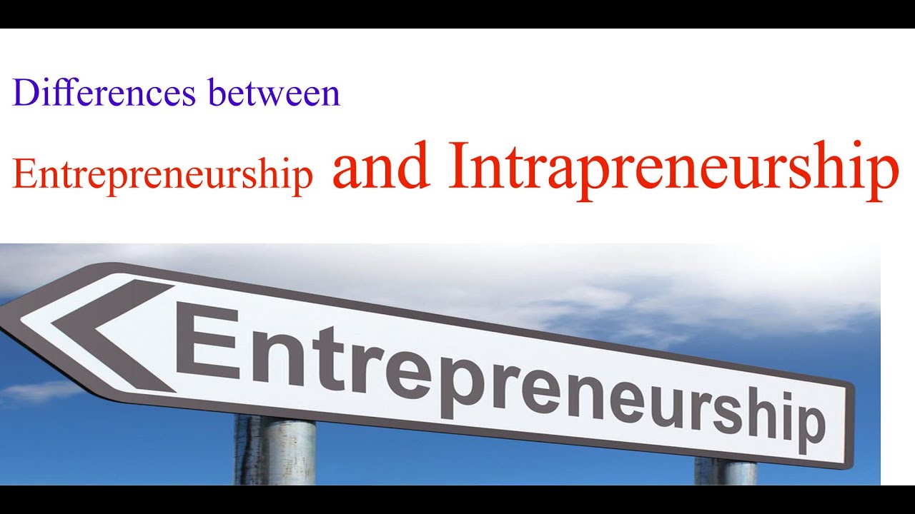 Difference Between Entrepreneurship And Intrapreneurship - YouTube